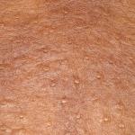 Sythetic Leather -- Ostrich Medium Brown