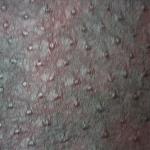 Sythetic Leather -- Ostrich Red Black